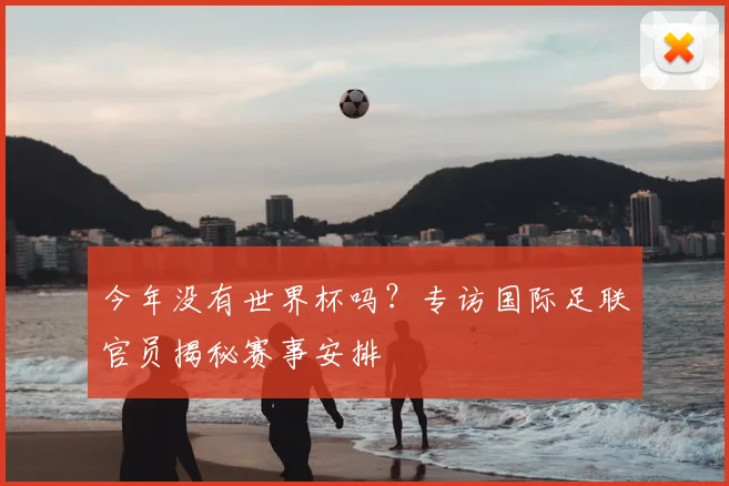 今年没有世界杯吗？专访国际足联官员揭秘赛事安排