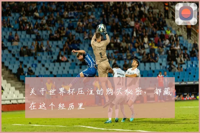 关于世界杯压注的购买秘密,都藏在这个经历里