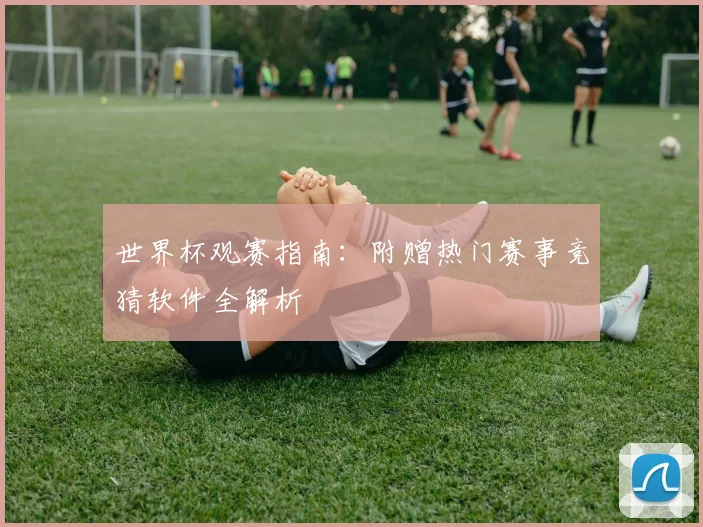 世界杯观赛指南:附赠热门赛事竞猜软件全解析