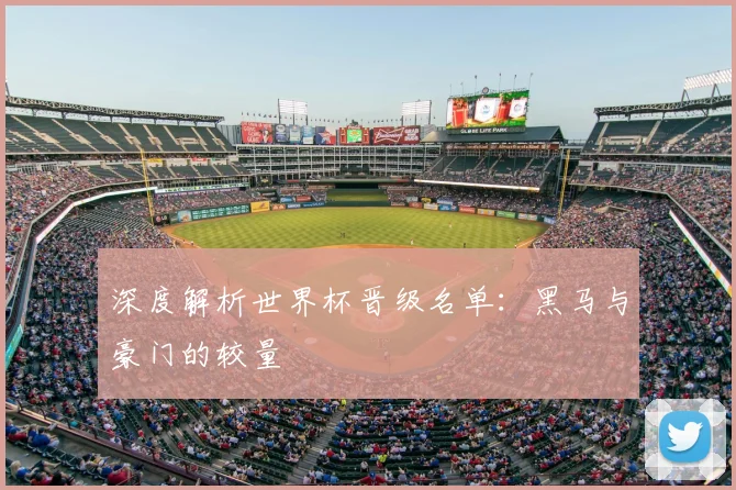 深度解析世界杯晋级名单：黑马与豪门的较量