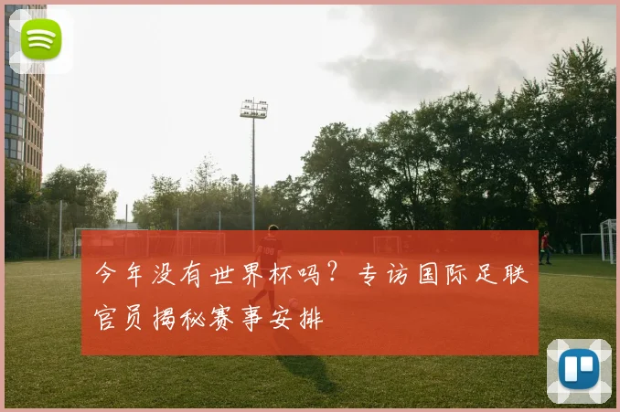 今年没有世界杯吗？专访国际足联官员揭秘赛事安排