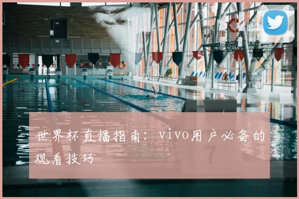 世界杯直播指南:vivo用户必备的观看技巧