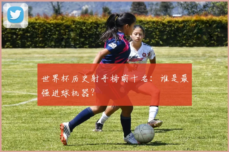 世界杯历史射手榜前十名:谁是最强进球机器?