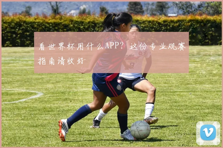看世界杯用什么APP？这份专业观赛指南请收好