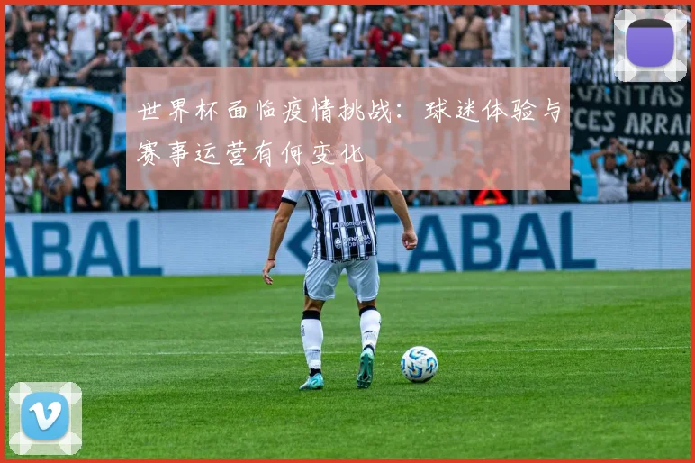 世界杯面临疫情挑战：球迷体验与赛事运营有何变化
